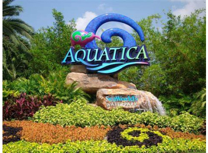 Aquatica Orlando AquaGlow After Hours  - ADD-ON